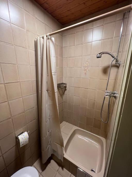 Einzimmerwohnung Im Gruenen/Innsbruck/2 Pax Exterior foto